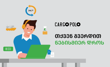 Cargo Polo support team